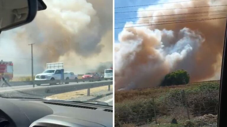 Declaran alerta roja por incendio forestal en San Fernando: Fuego avanza al costado de carretera