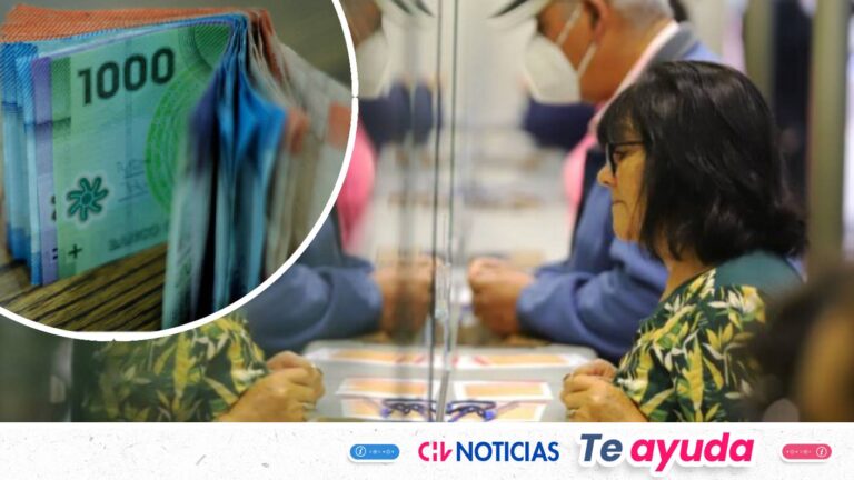 Comienza el primer pago del Aporte Familiar Permanente: Consulta con tu RUT si lo recibes