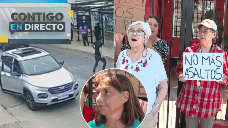 Denuncian tour delictual de banda armada en Puente Alto: Vecinos piden seguridad ante aumento de robos