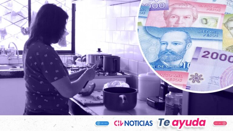 Bono de $450 mil sin postular: Revisa el requisito clave y consulta con RUT si eres beneficiario