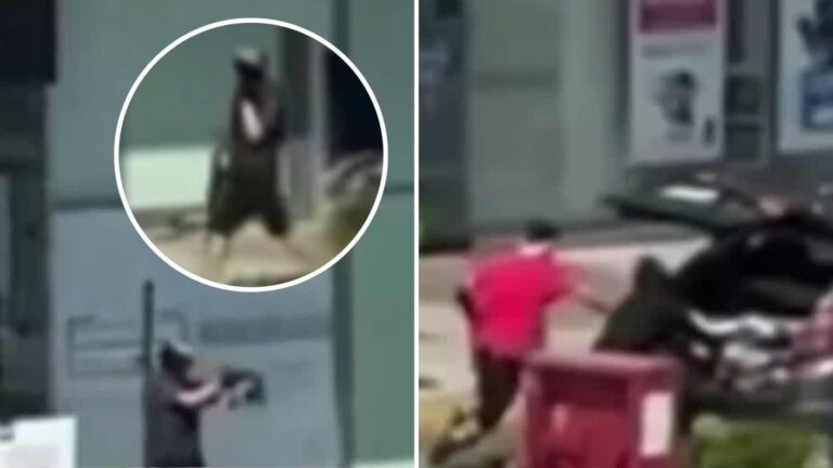 VIDEO | Asalto en Huechuraba: Delincuentes robaron tienda de telefonía con un fusil y golpearon a la jefa de local