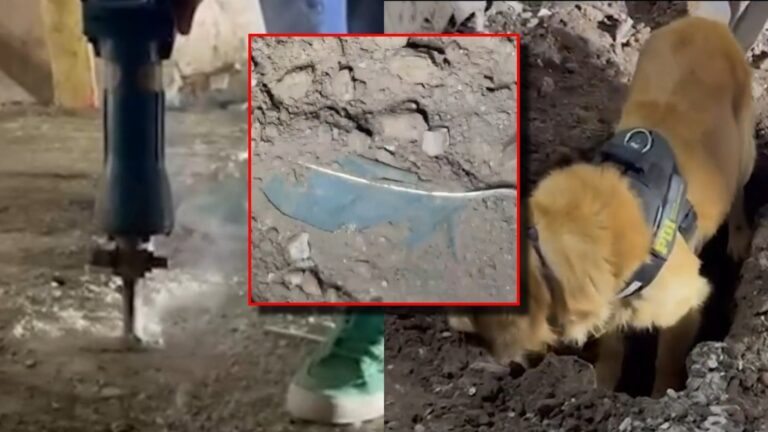 Así fue el operativo de PDI que terminó con el hallazgo de cadáver en una maleta en Estación Central