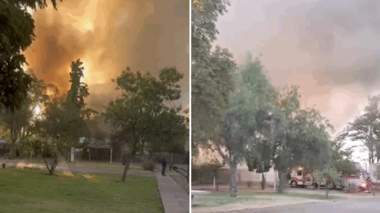 Incendio afecta laboratorio químico en Facultad de Veterinaria de la Universidad de Chile