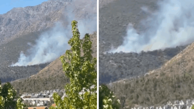 Incendio afecta a Quebrada de Macul: Aviones y helicópteros combaten las llamas