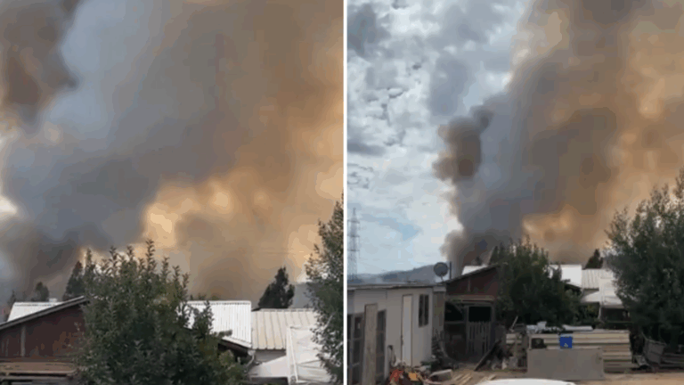 Senapred declara alerta roja en Melipilla por incendio forestal cercano a zonas habitadas