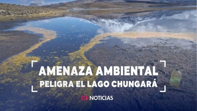 Amenaza ambiental: Peligra el Lago Chungará por contaminación tras derrame de aceite en bofedal