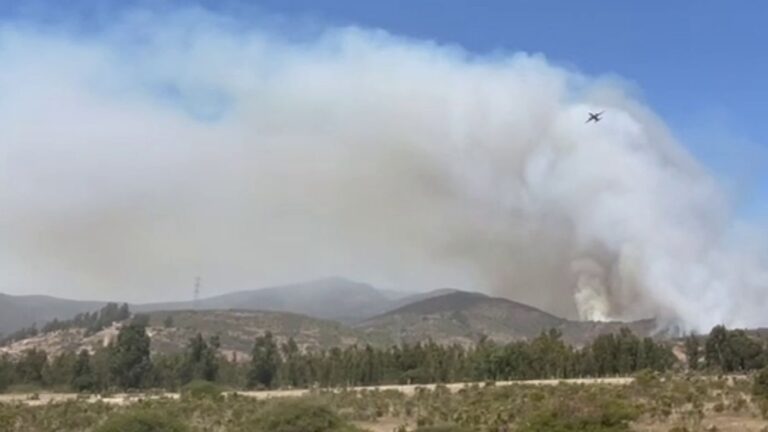 Senapred emite Alerta Roja por incendio forestal en Puchuncaví: Video muestra gran columna de humo