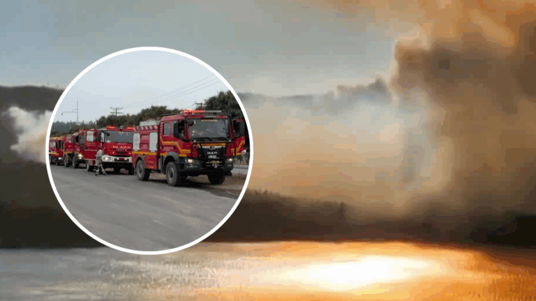 Activó mensajería SAE: Senapred solicita evacuar sectores de Vichuquén por incendio forestal