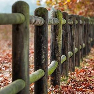 Nacional - Amet eos est illo.