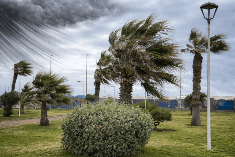 Hasta 80 km/h: Emiten aviso por vientos para 4 regiones del país durante este fin de semana