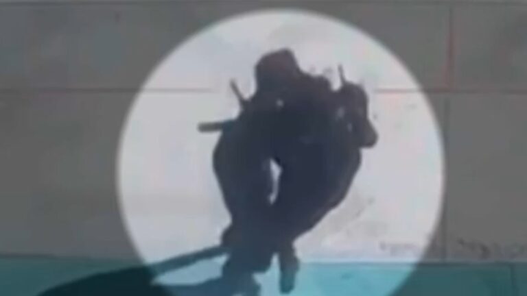 Nuevo registro reveló la maniobra que salvó vidas: Alumno héroe aplicó técnica de jiu-jitsu a agresor en Calama