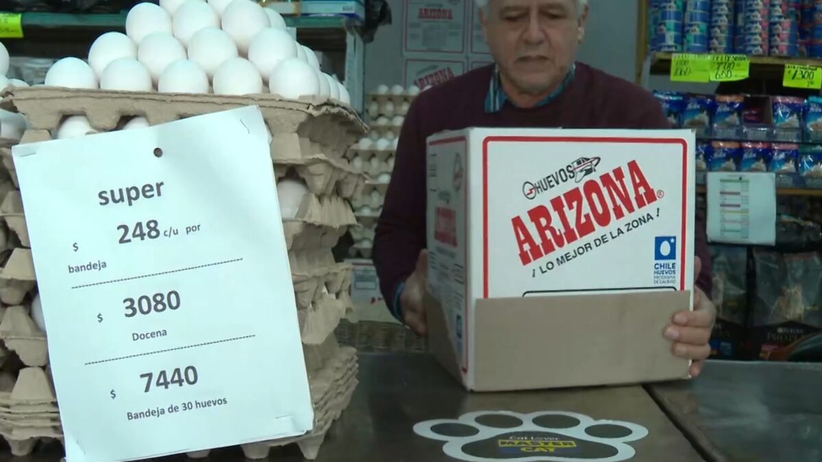 Alerta por caso de gripe aviar en Talagante: Huevos podrían sufrir un alza de precios en las próximas semanas