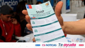 SOAP 2026: Dónde comprar el seguro más barato