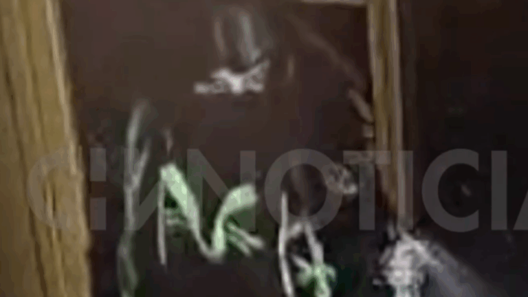 EXCLUSIVO | Con antiparras: Revelan imagen clave del agresor antes del fatal ataque en Calama