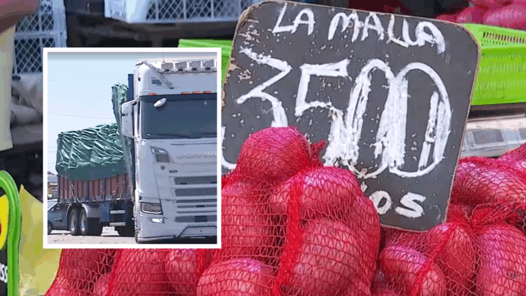 Por alza de combustibles: Advierten aumento en precios de alimentos