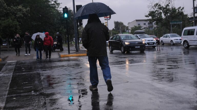Por lluvia y fuerte viento: Más de 40 mil clientes se encuentran sin luz en la Región Metropolitana