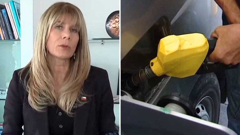 Tras alzas y largas filas en bencineras: Ministra de Energía descarta desabastecimiento de combustibles a futuro