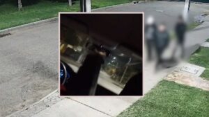 “¡Hermano… a lo maldito!”: Así cayó banda dedicada a portonazos y de alta actividad en redes sociales