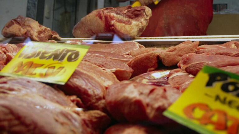 Cloranfenicol: El antibiótico prohibido detectado en carne de exportación argentina