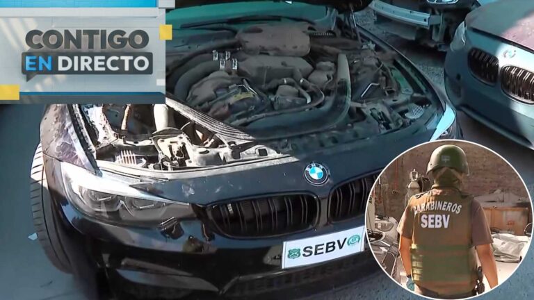 Modificaban Audi, BMW y más: Desbaratan taller clandestino con autos de alta gama en Conchalí