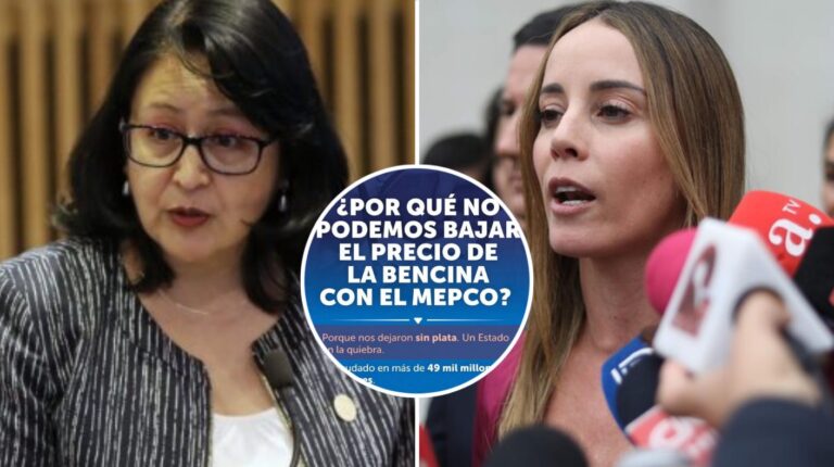 Contraloría ofició a la Segegob y pidió explicaciones a Mara Sedini por post sobre 