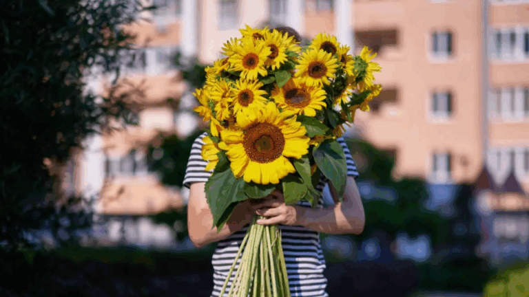 Flores amarillas: ¿Cuándo se regalan y cómo surgió esta tendencia?