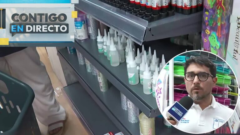 Fiscalización de mall chino en Santiago terminó con retiro de útiles escolares: Vendían silicona tóxica