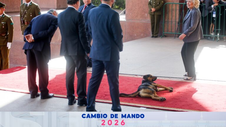 No se quería mover: El perrito que se robó la película en cambio de mando 2026