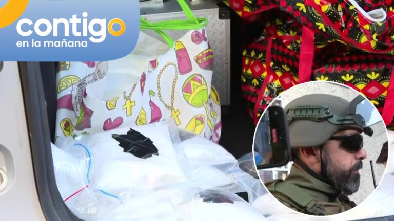 Investigación iniciada en 2024 y cerca de 100 kilos de droga: Los detalles del operativo en Santiago