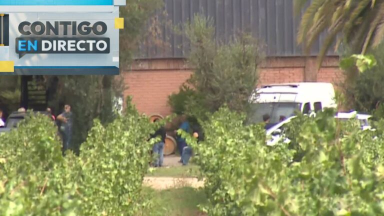 Dos trabajadores cayeron a cuba de vino en Pirque: Uno murió y otro se encuentra grave