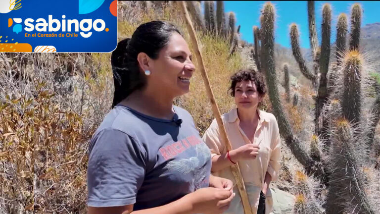 Tamara Acosta se inspiró con los secretos de Las Bertas en Río Hurtado | El valor de Chile | Sabingo