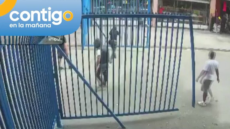 Ambulantes rompen reja perimetral en barrio Meiggs: Habría ocurrido tras incautación de cigarros