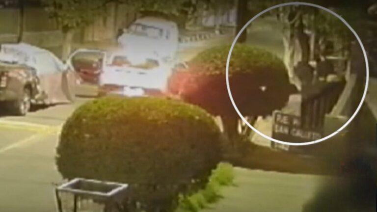 Cámara capta momento exacto de ataque con martillo y arma blanca a padre que defendía a hija de 2 años