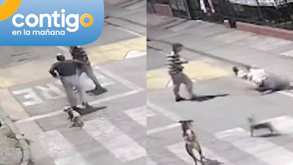 Adulto mayor defendió a mujer y terminó con derrame cerebral tras ser golpeado a patadas en Puente Alto