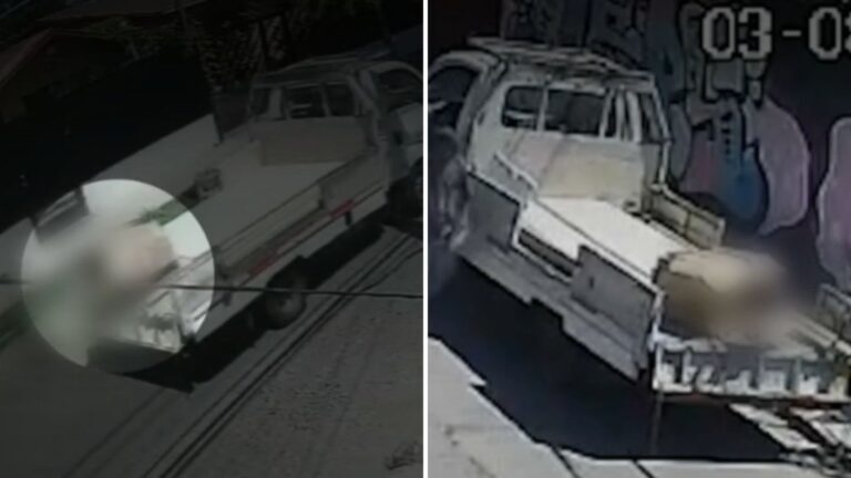 Formalizan a hombre que trasladó en un camión el cuerpo de una mujer en Quinta Normal