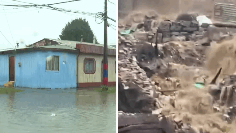 30 mil clientes sin luz y calles cortadas: los estragos del temporal que afectó al sur