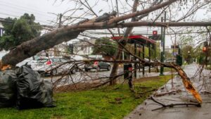 Alerta por intensos vientos en 5 regiones incluyendo la RM: Llegarían hasta los 80 km/h
