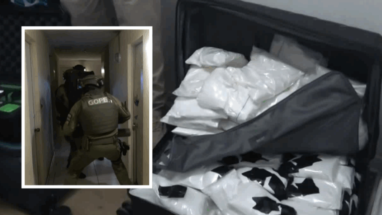 Tras un año de investigación: así cayó clan familiar que almacenaba 240 kilos de ketamina