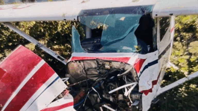 Emergencia aérea en Santa Cruz: Avioneta capotó al interior de una viña