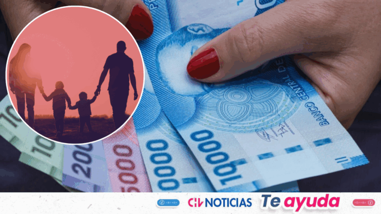 ¿No recibiste el ex Bono Marzo? Revisa cómo apelar al Aporte Familiar Permanente con tu RUT