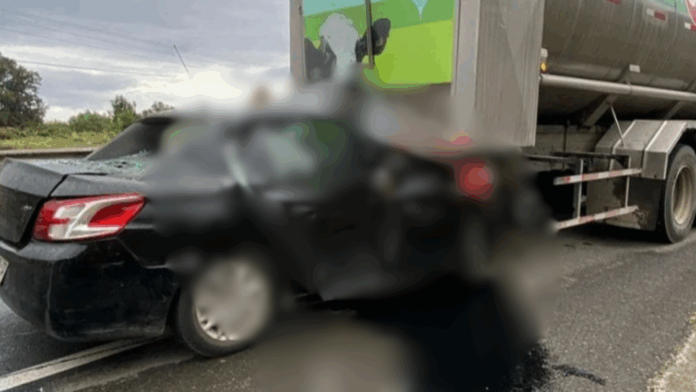 Padre y sus dos hijos de 8 y 16 años murieron tras colisionar con camión en Ruta 5 Sur