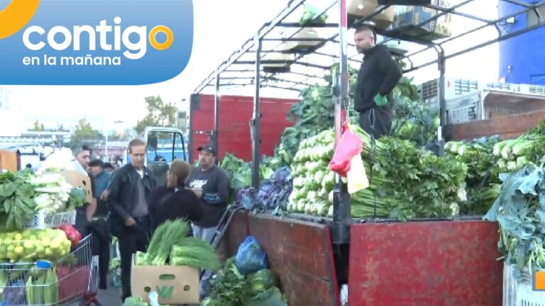 La Vega Central reacciona al alza de los combustibles: ¿Subirá el precio de los alimentos?