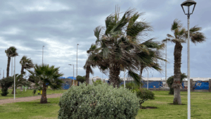 Hasta 80 km/h: Emiten aviso por vientos para 4 regiones del país durante este fin de semana