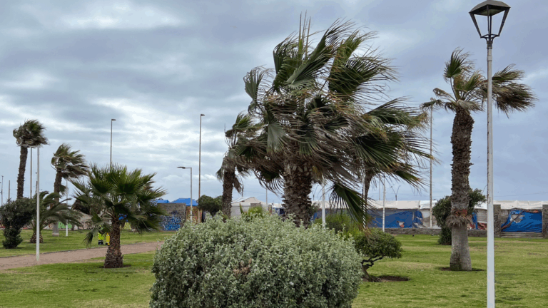 Hasta 80 km/h: Emiten aviso por vientos para 4 regiones del país durante este fin de semana