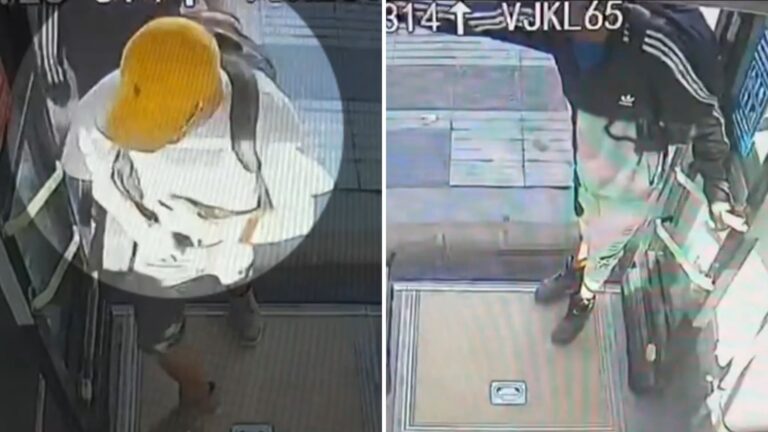 Detienen a dos integrantes de “Las Gárgolas”: Banda se dedicaba al robo con intimidación en buses RED