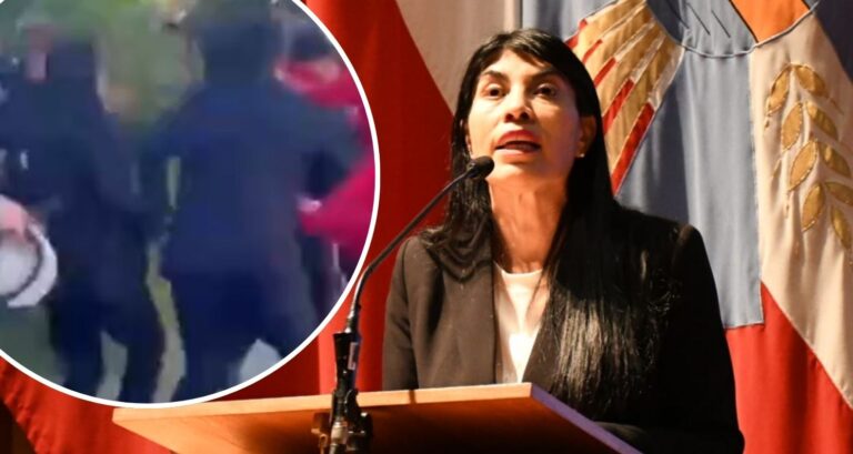 “Esto fue un delito”: Gobierno anuncia querella por agresión a ministra Lincolao en Valdivia