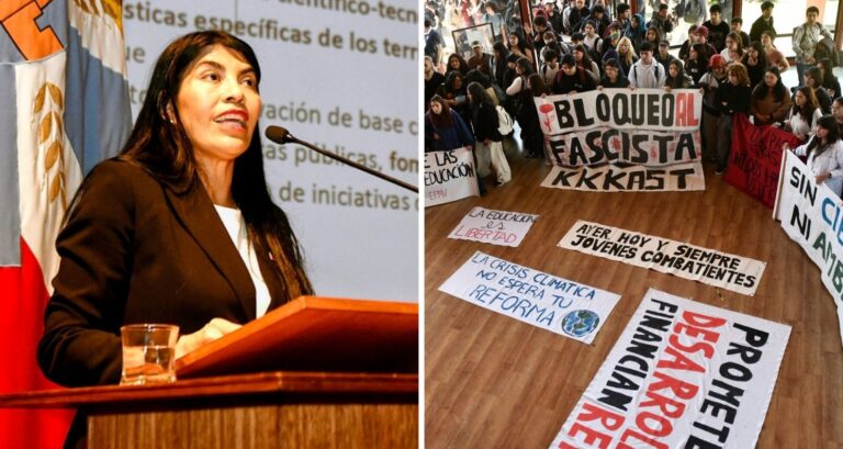 Ministra Lincolao se trasladó sin escoltas en Valdivia: Aún no cuenta con personal asignado