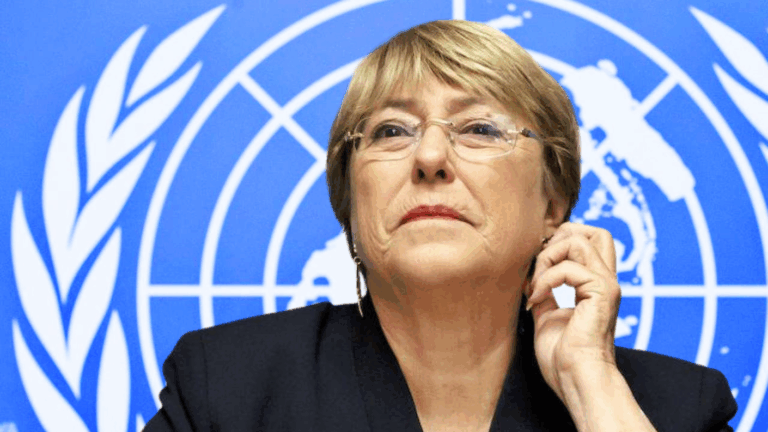 Michelle Bachelet expone hoy ante la ONU: Horario en Chile y donde ver su presentación