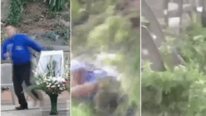 VIDEO | Árbol gigante cae sobre fieles durante misa: Dejó varios heridos