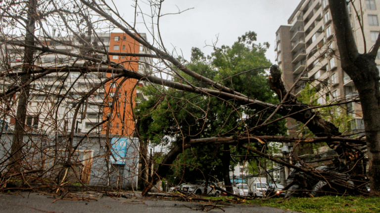 Rachas de hasta 100 km/h: Emiten aviso por vientos para tres regiones del país
